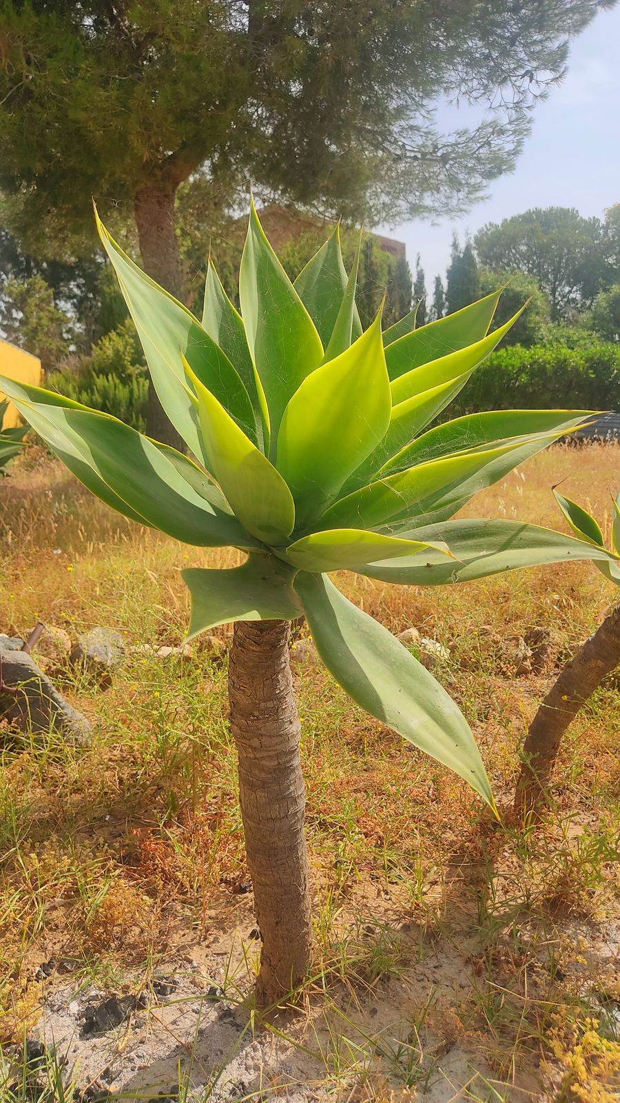 Property main view 13