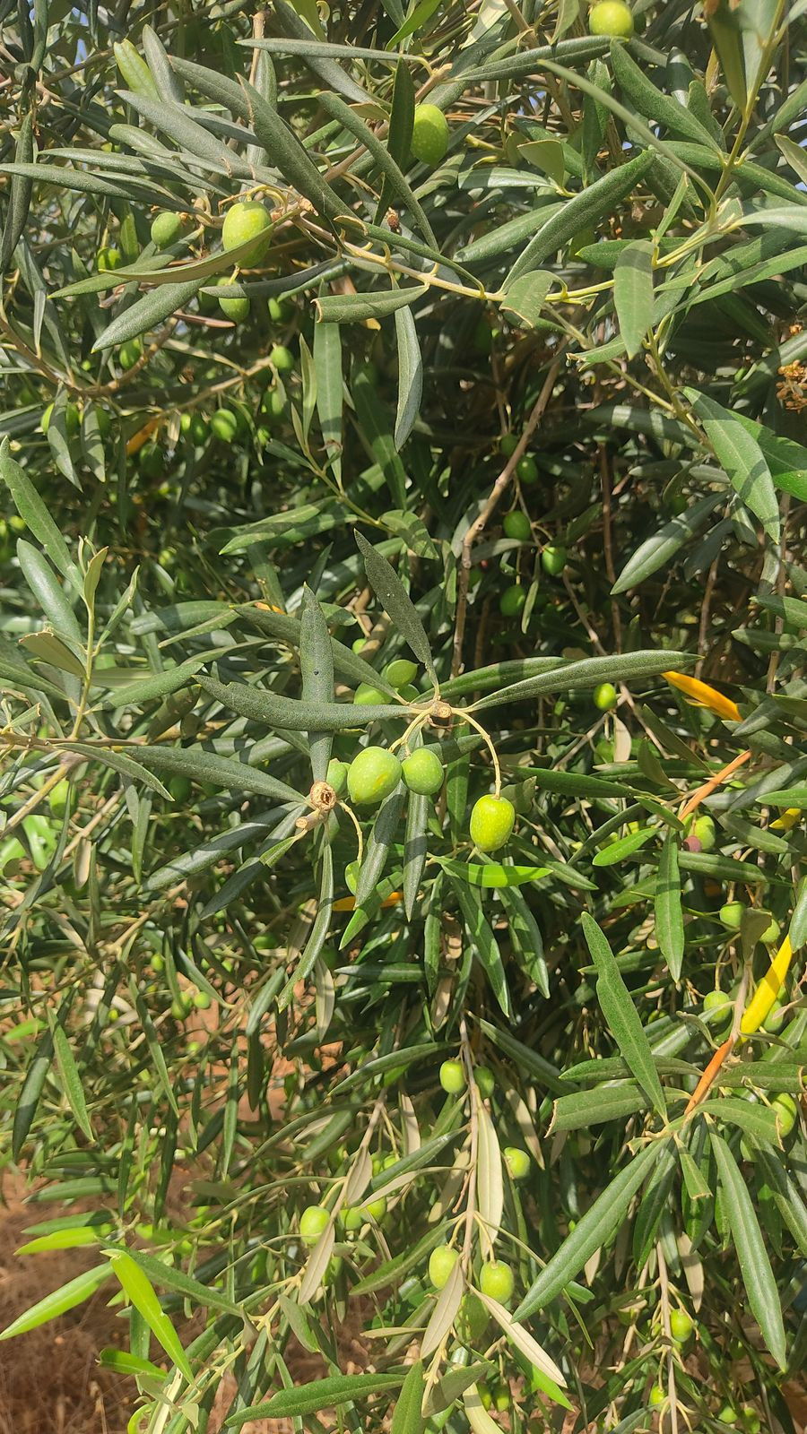 Property main view 17