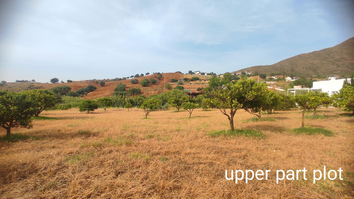 Property main view 19