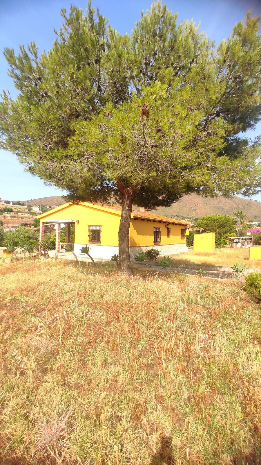 Property main view 2