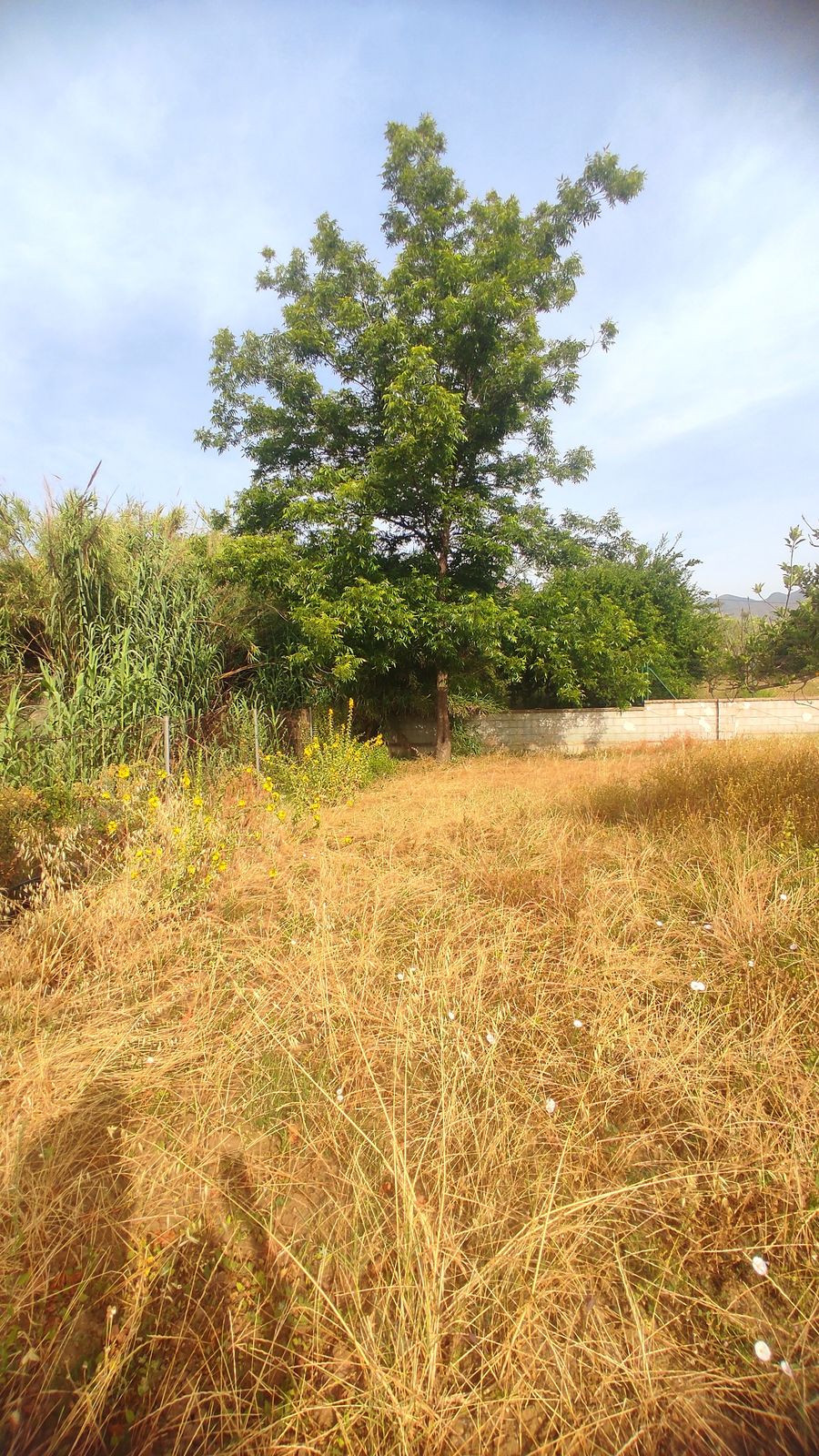 Property main view 24