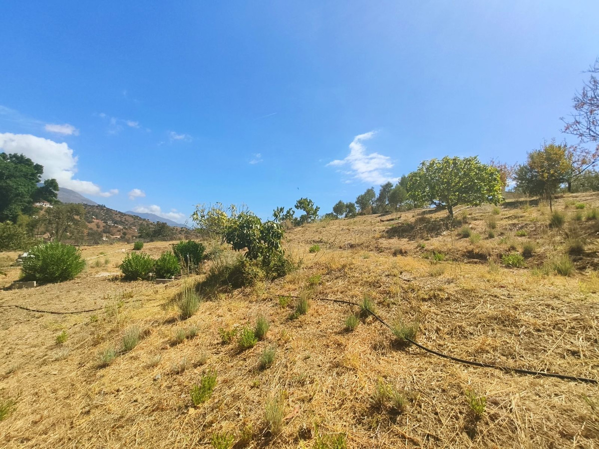 Property main view 15