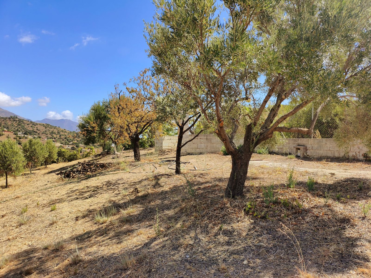 Property main view 20