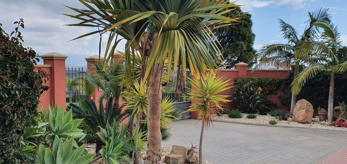 Property main view 84