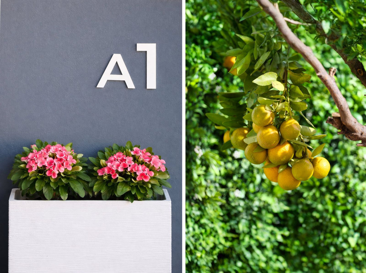 Property main view 4