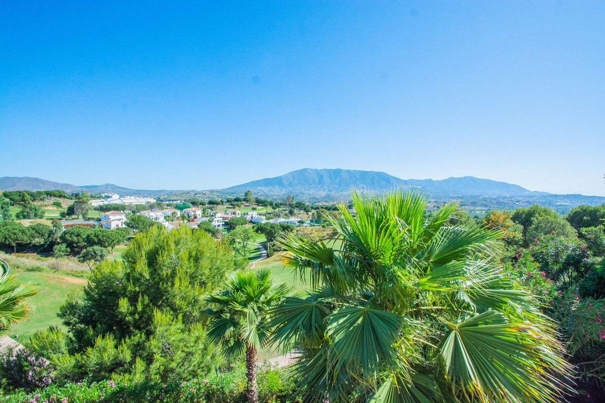 Property main view 20