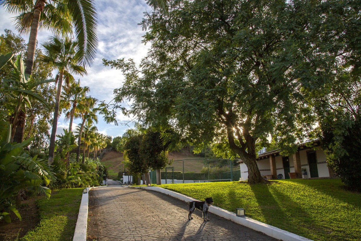 Property main view 113