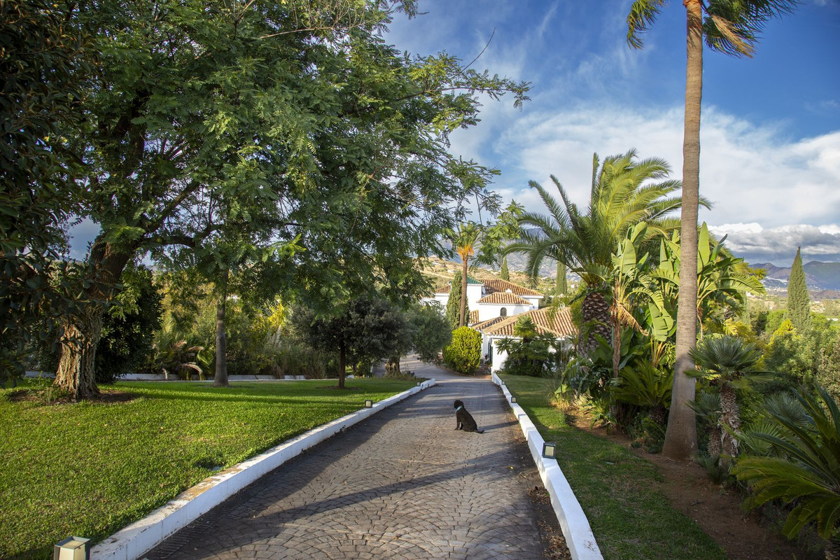 Property main view 114