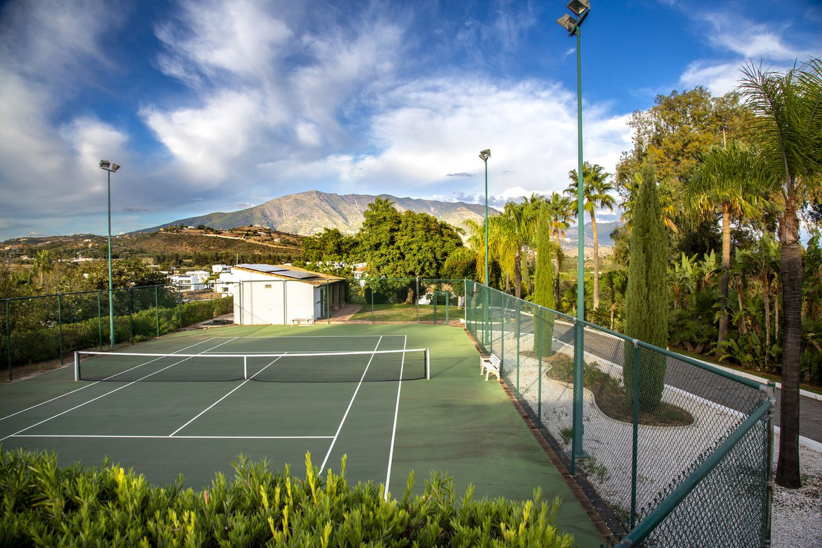 Property main view 116