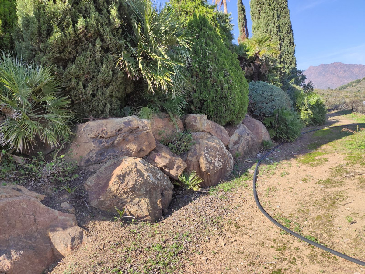 Property main view 125