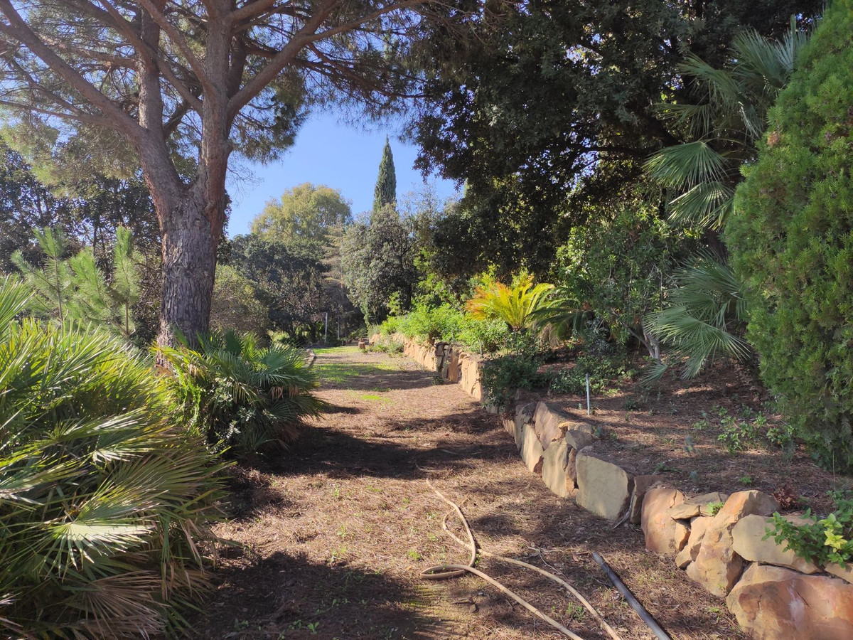 Property main view 126