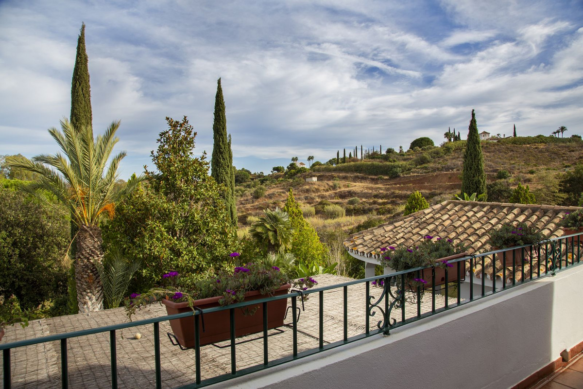 Property main view 61