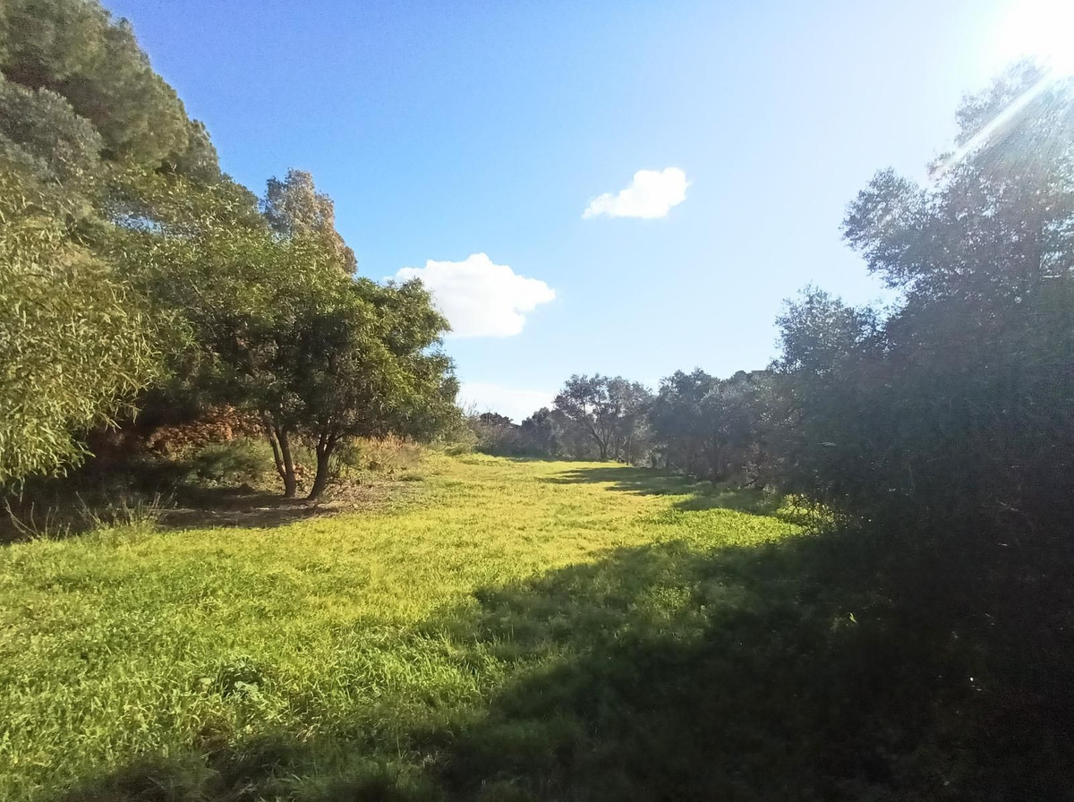 Property main view 22