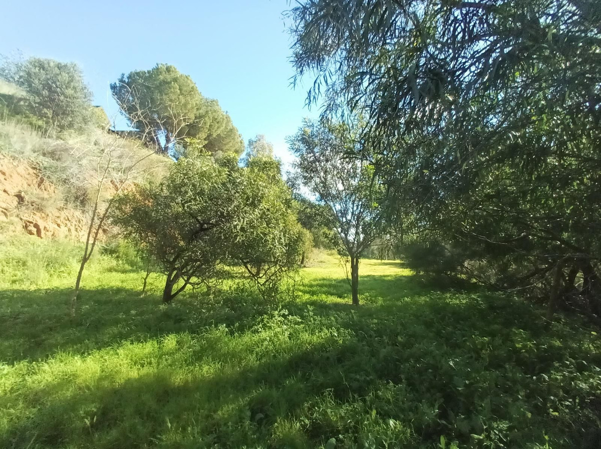 Property main view 23