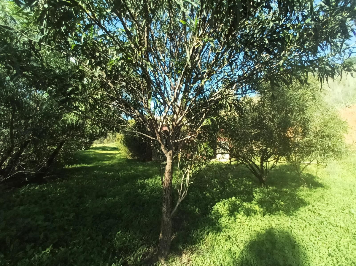 Property main view 24