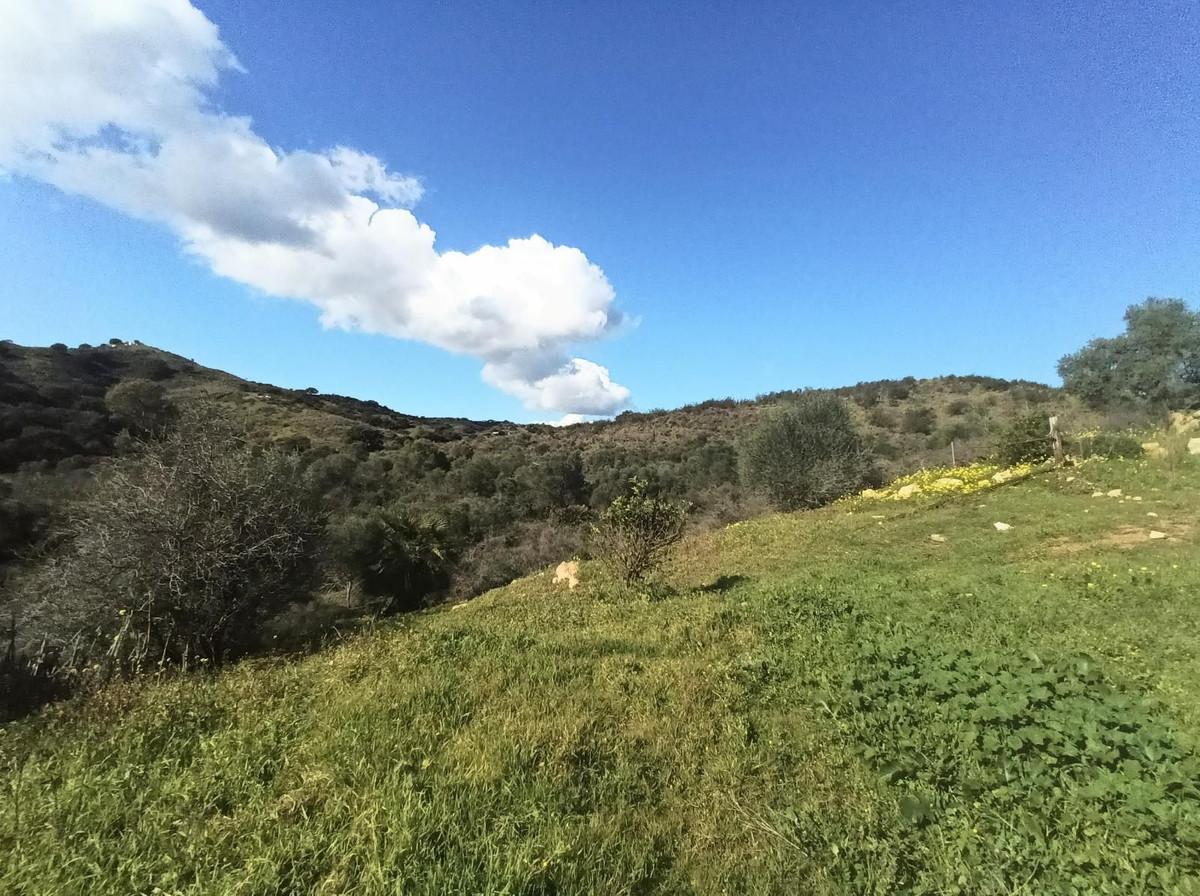 Property main view 27