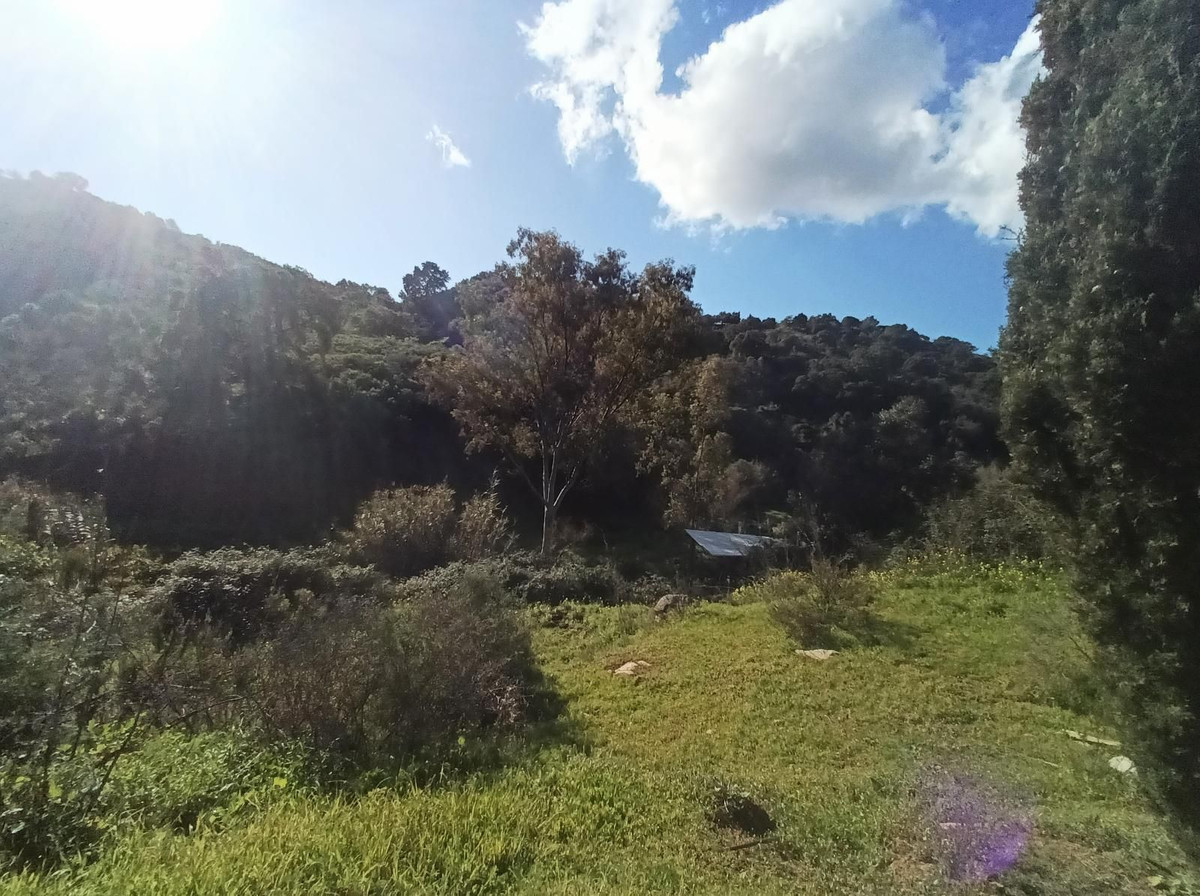 Property main view 30