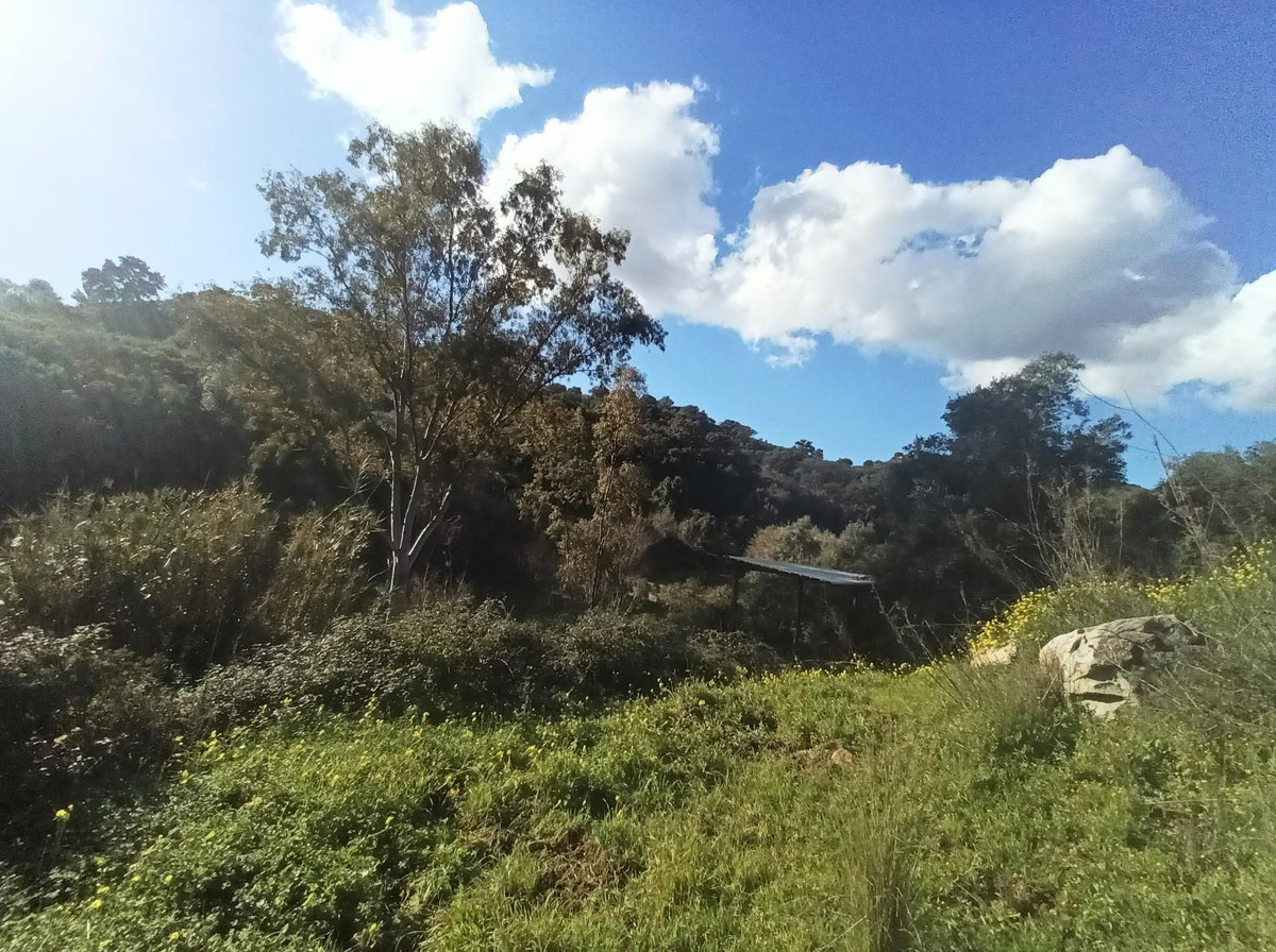 Property main view 31