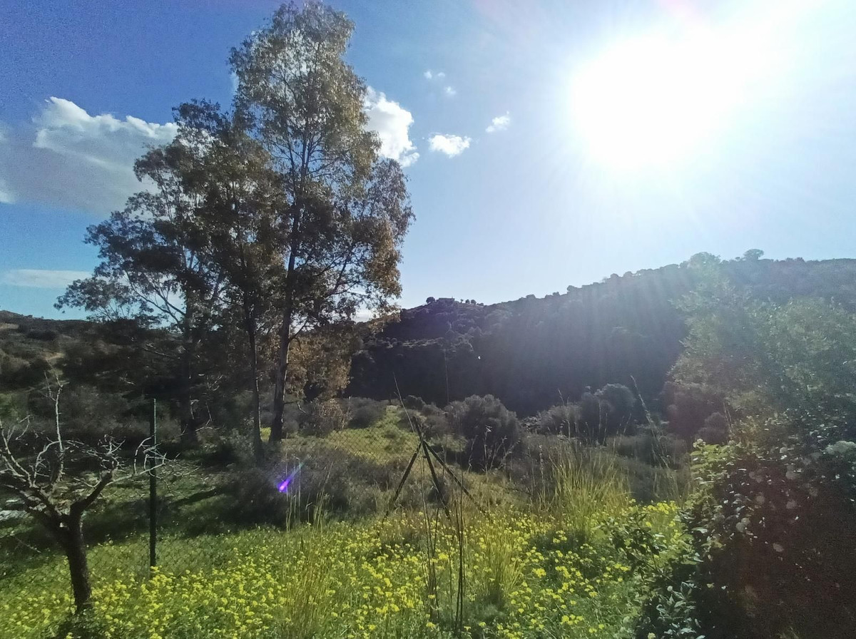 Property main view 35