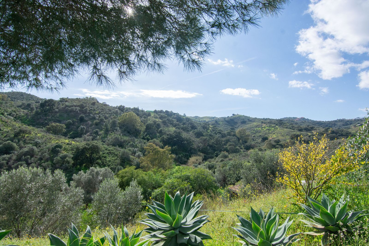 Property main view 34