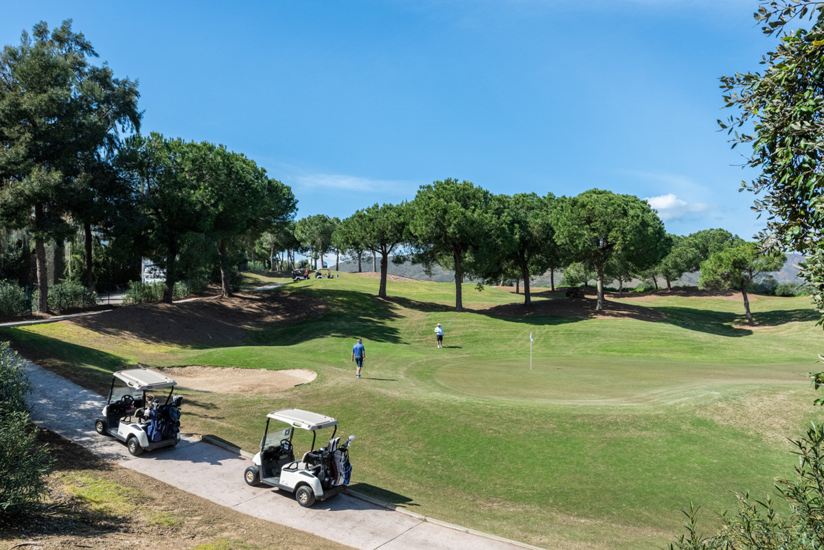 Property main view 32