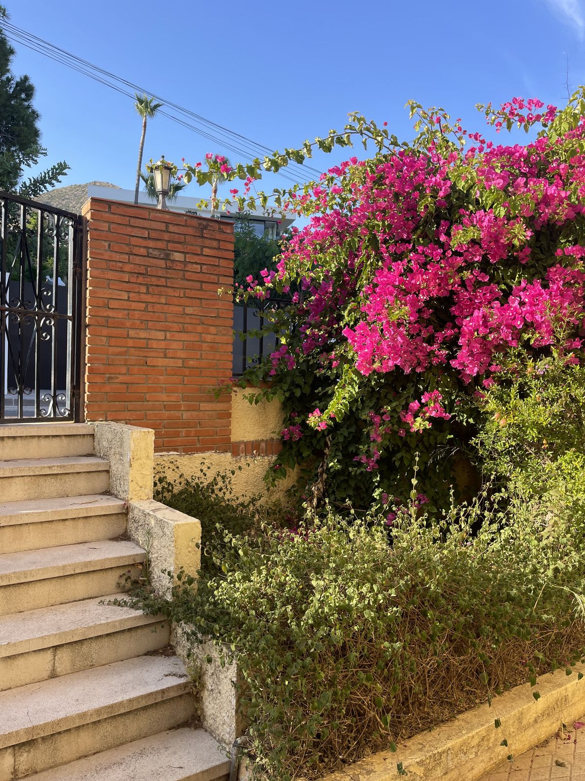 Property main view 11