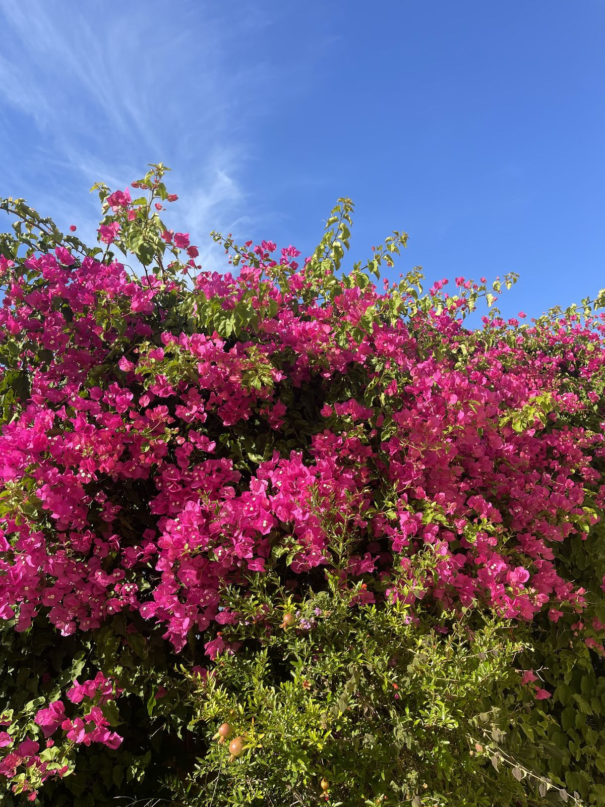 Property main view 12