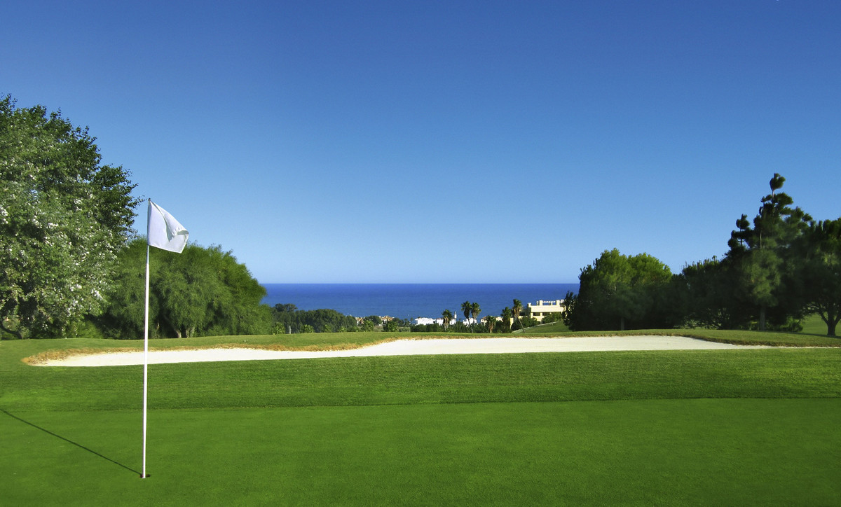 Property main view 59