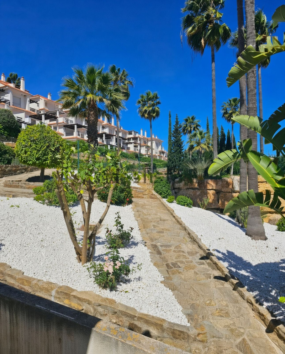 Property main view 19