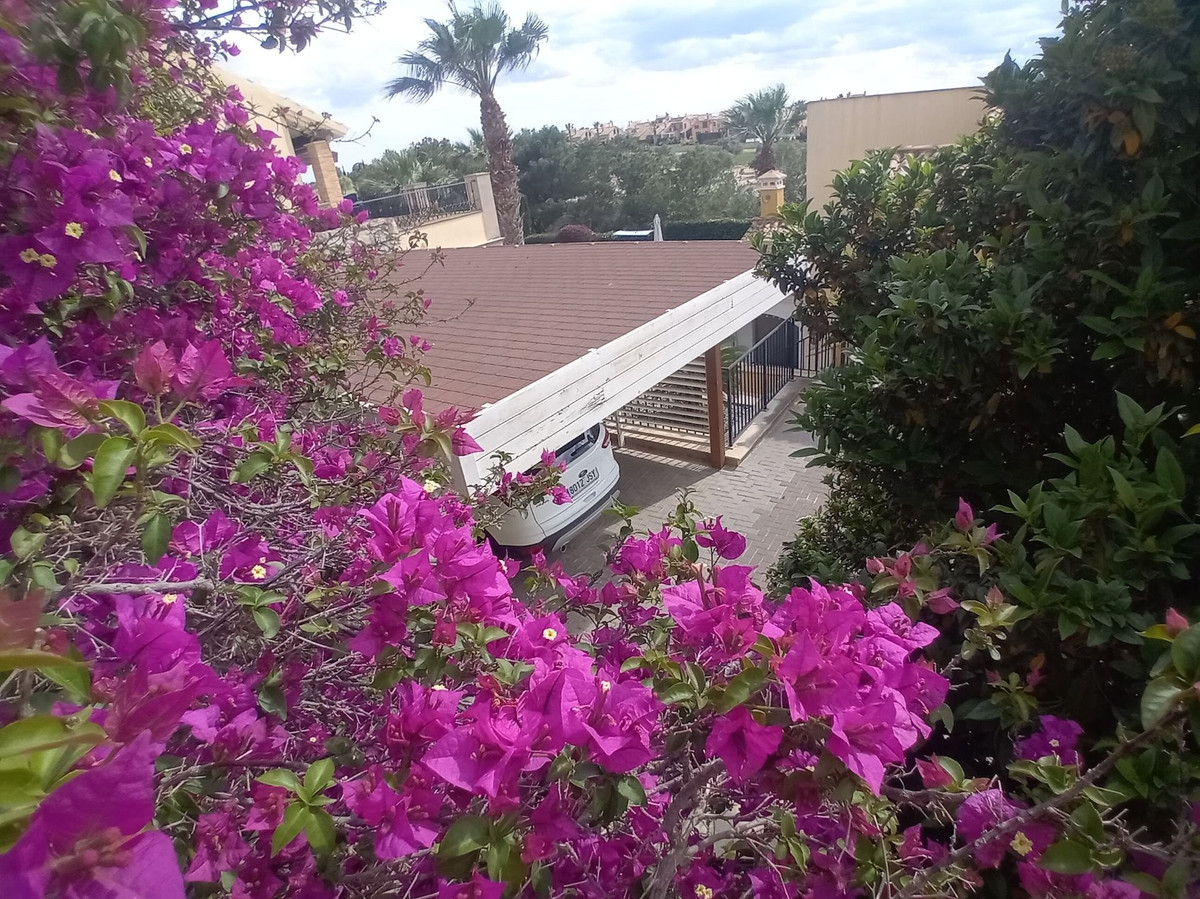 Property main view 42