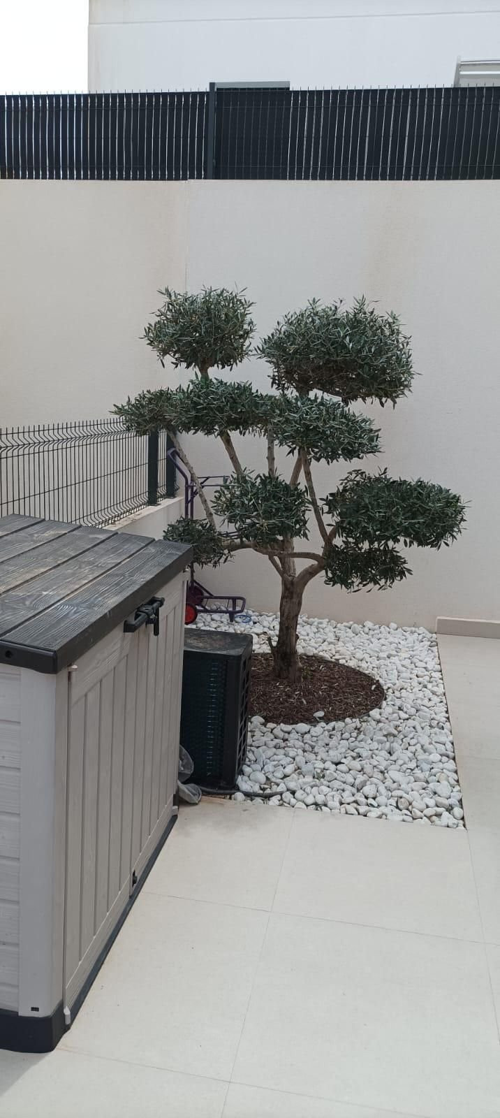 Property main view 23