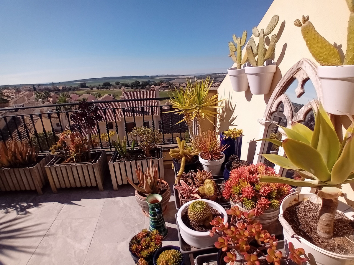 Property main view 38