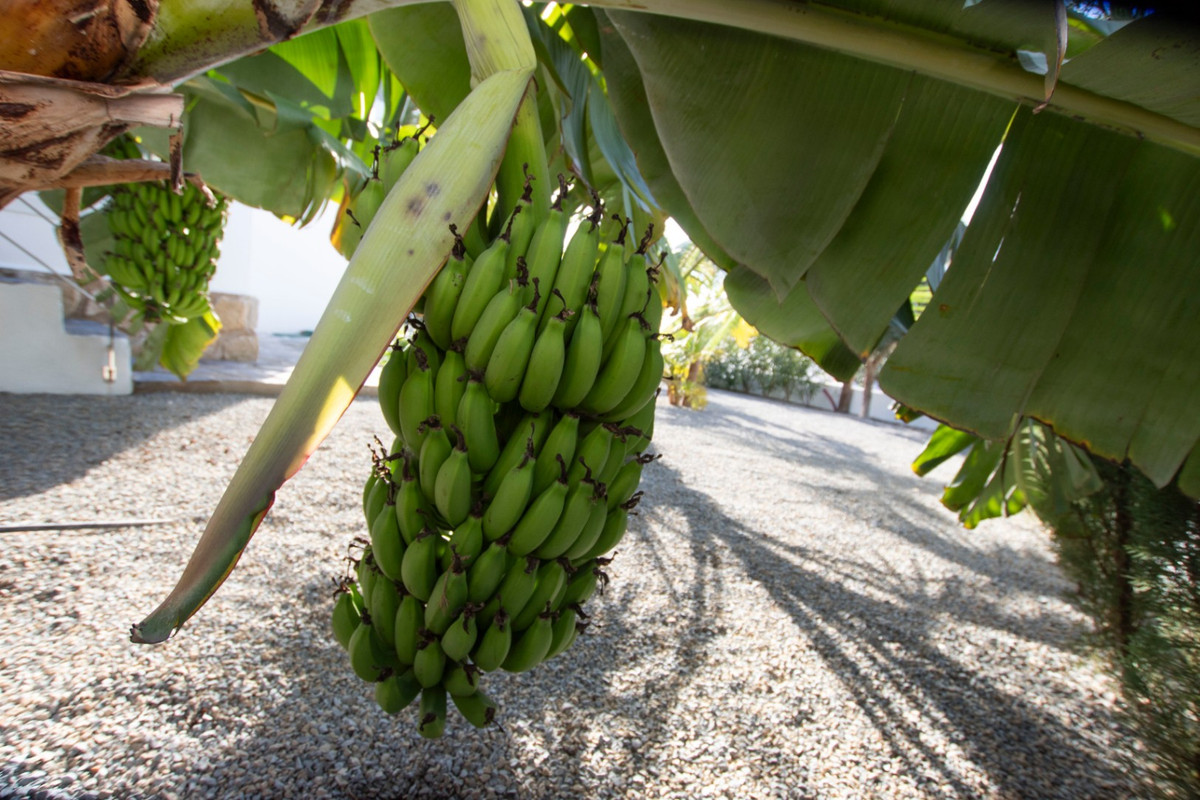 Property main view 30