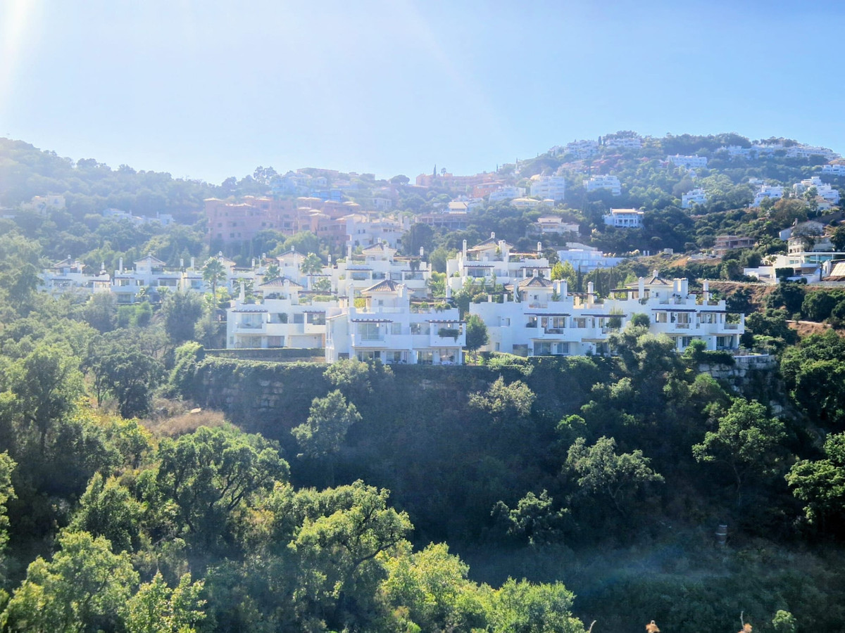 Property main view 19
