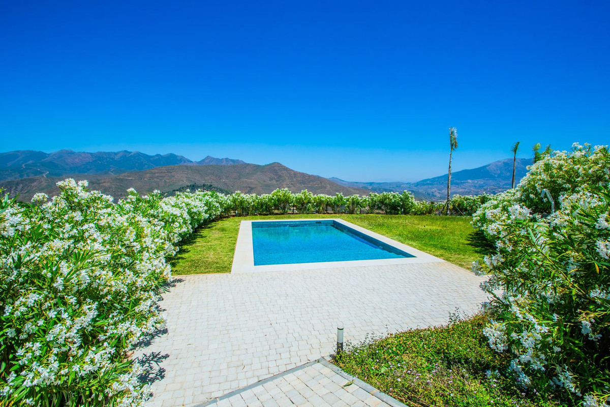 Property main view 35