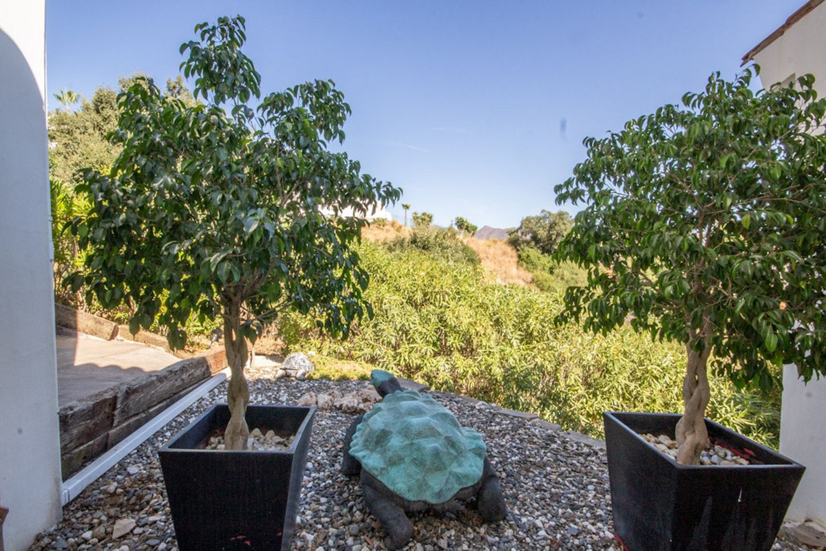 Property main view 44