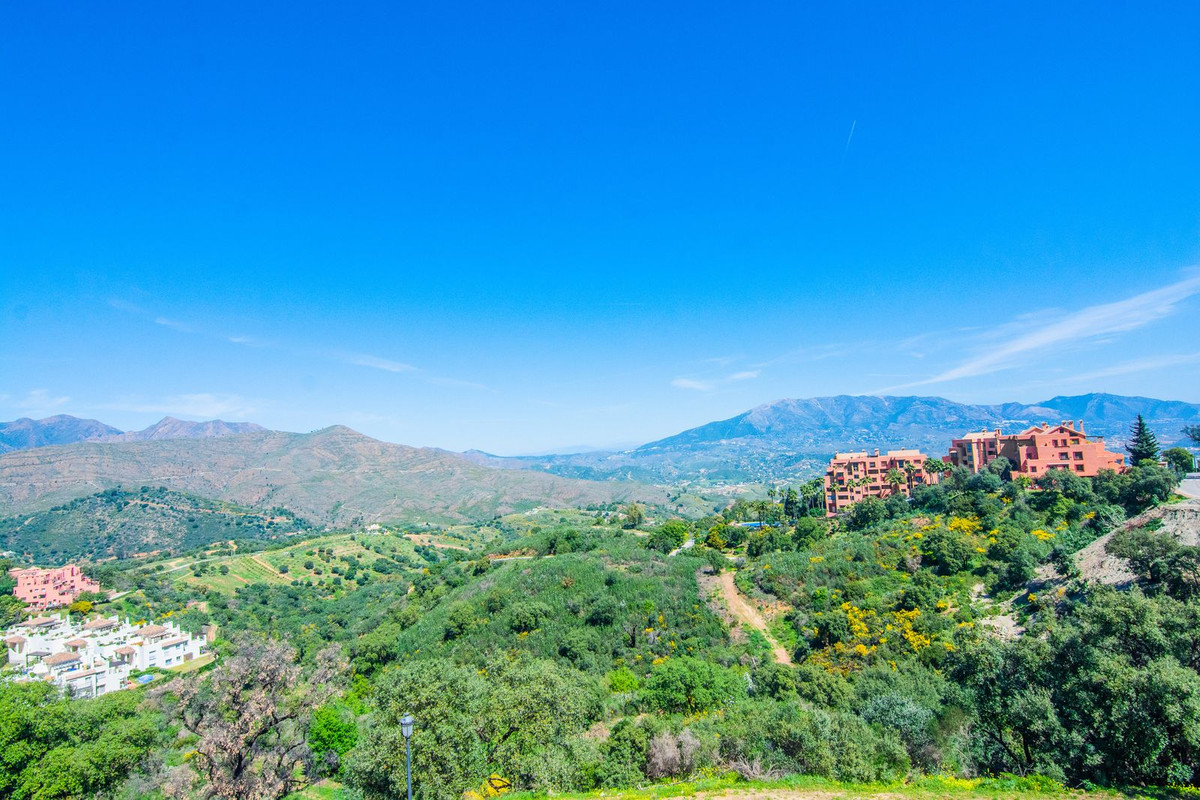 Property main view 24