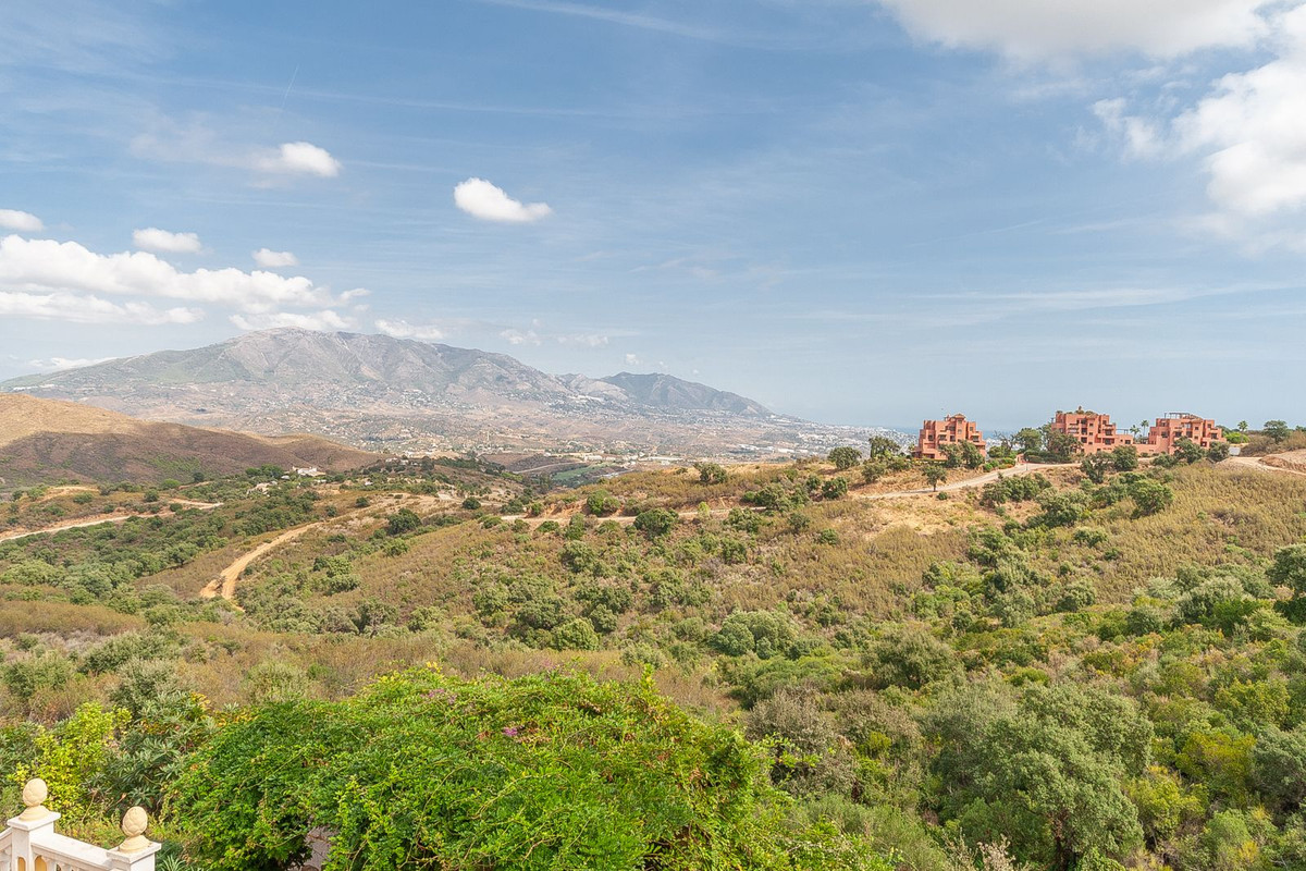 Property main view 21