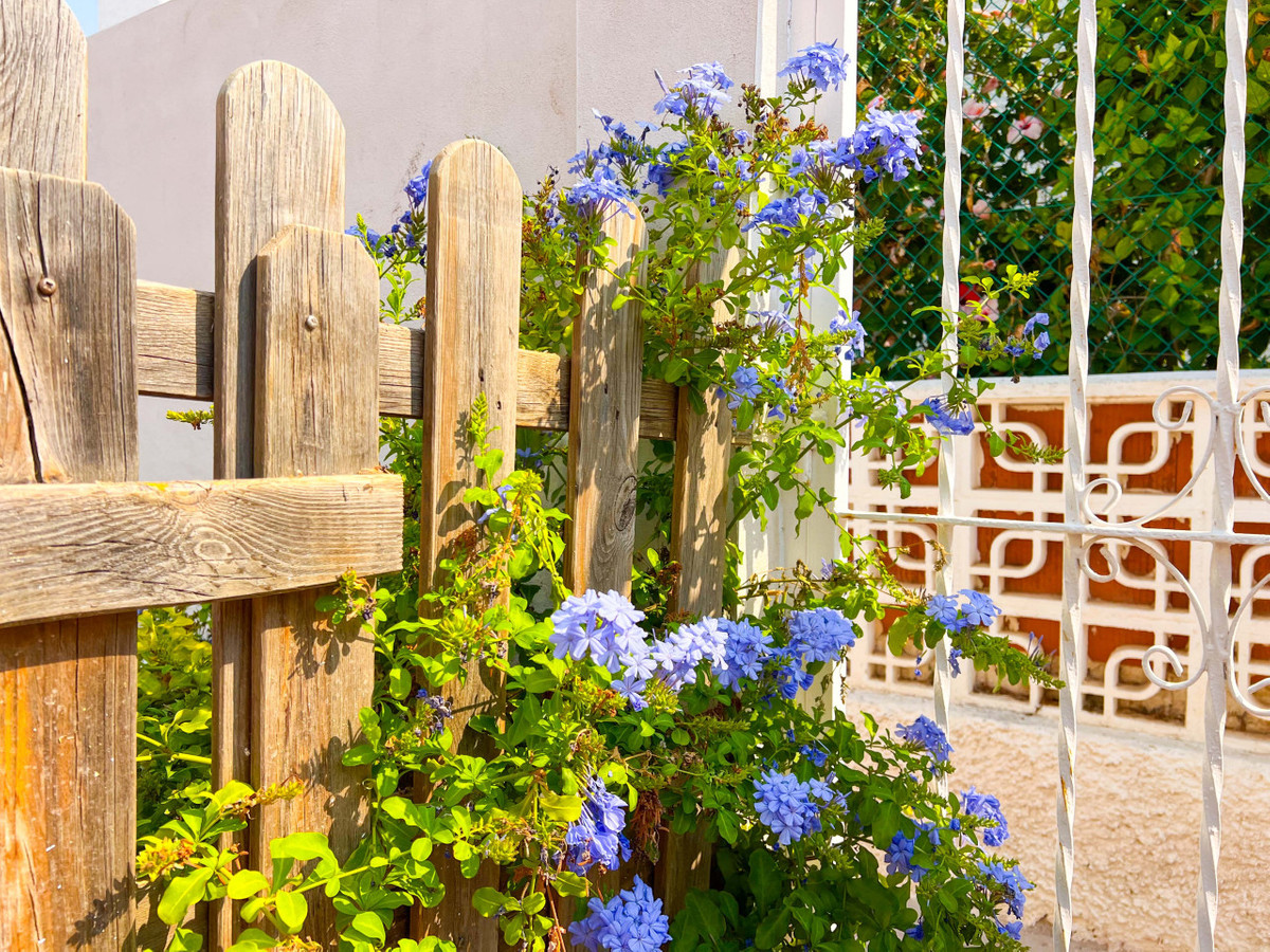 Property main view 21