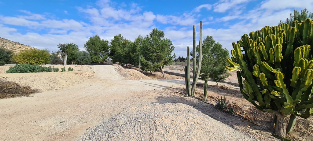 Property main view 39