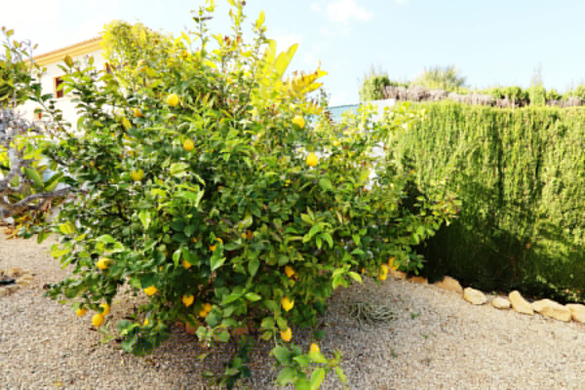 Property main view 48