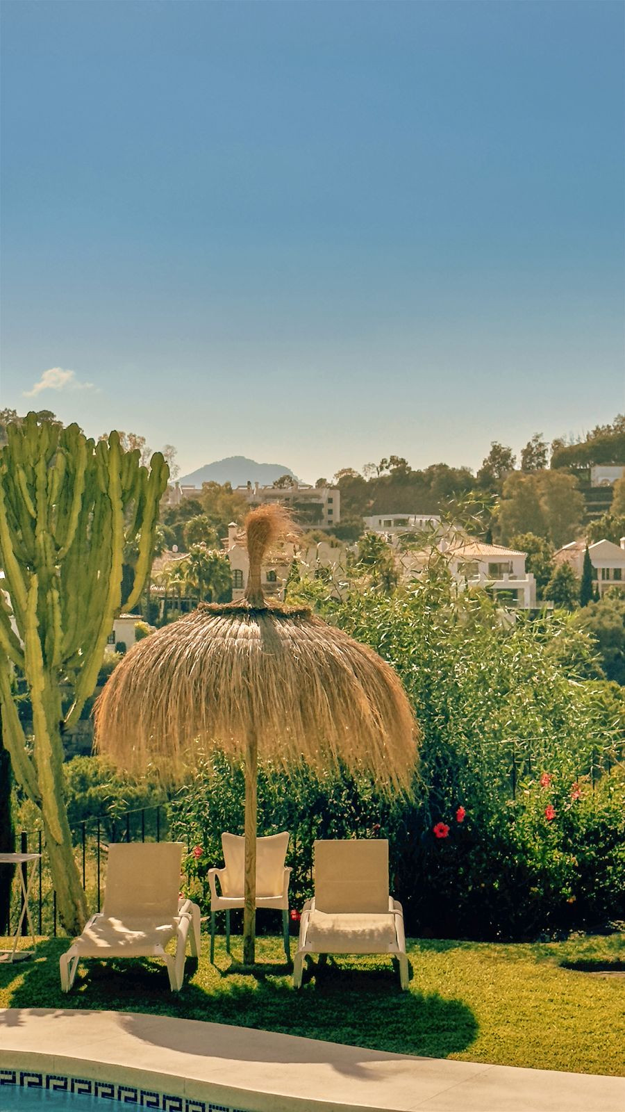 Property main view 50