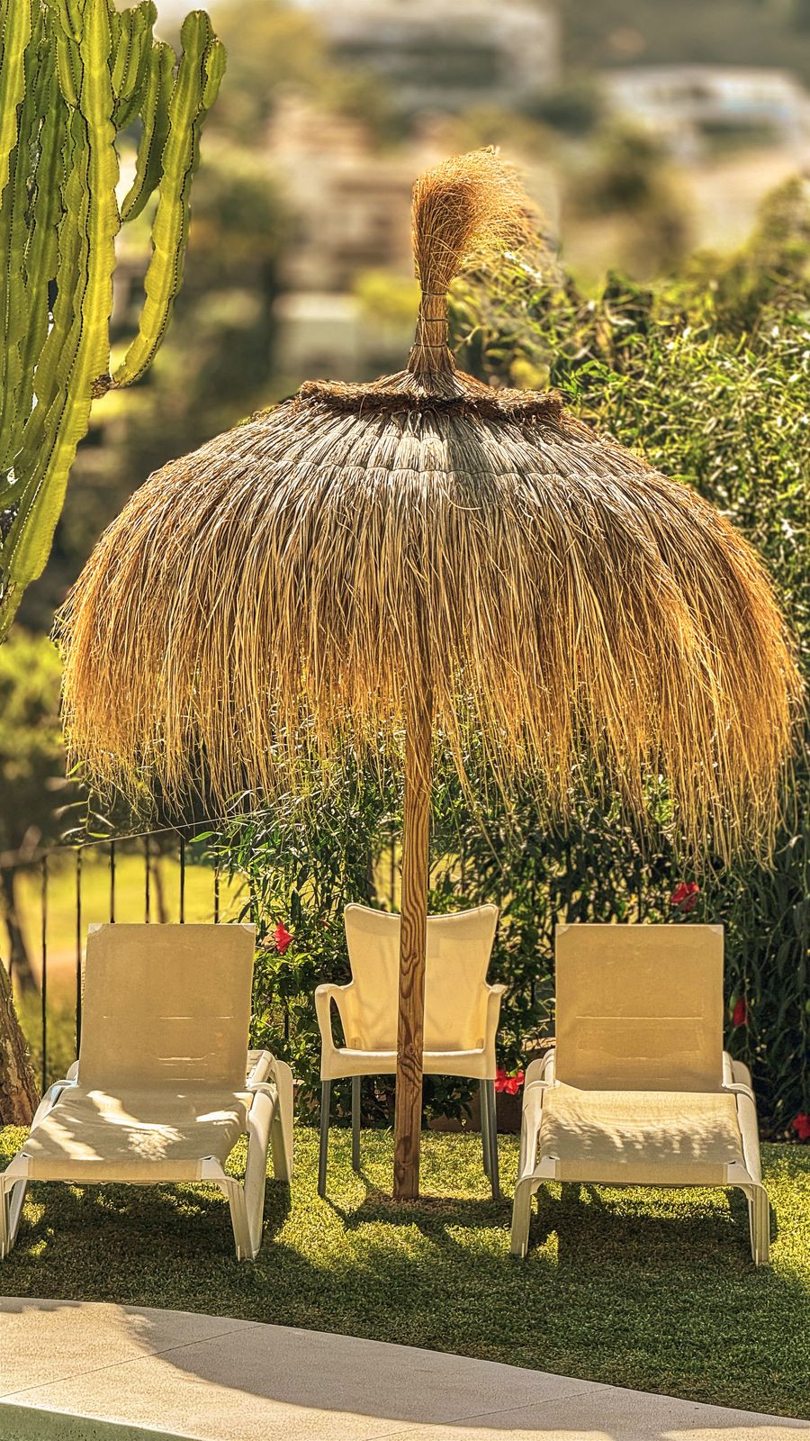 Property main view 51