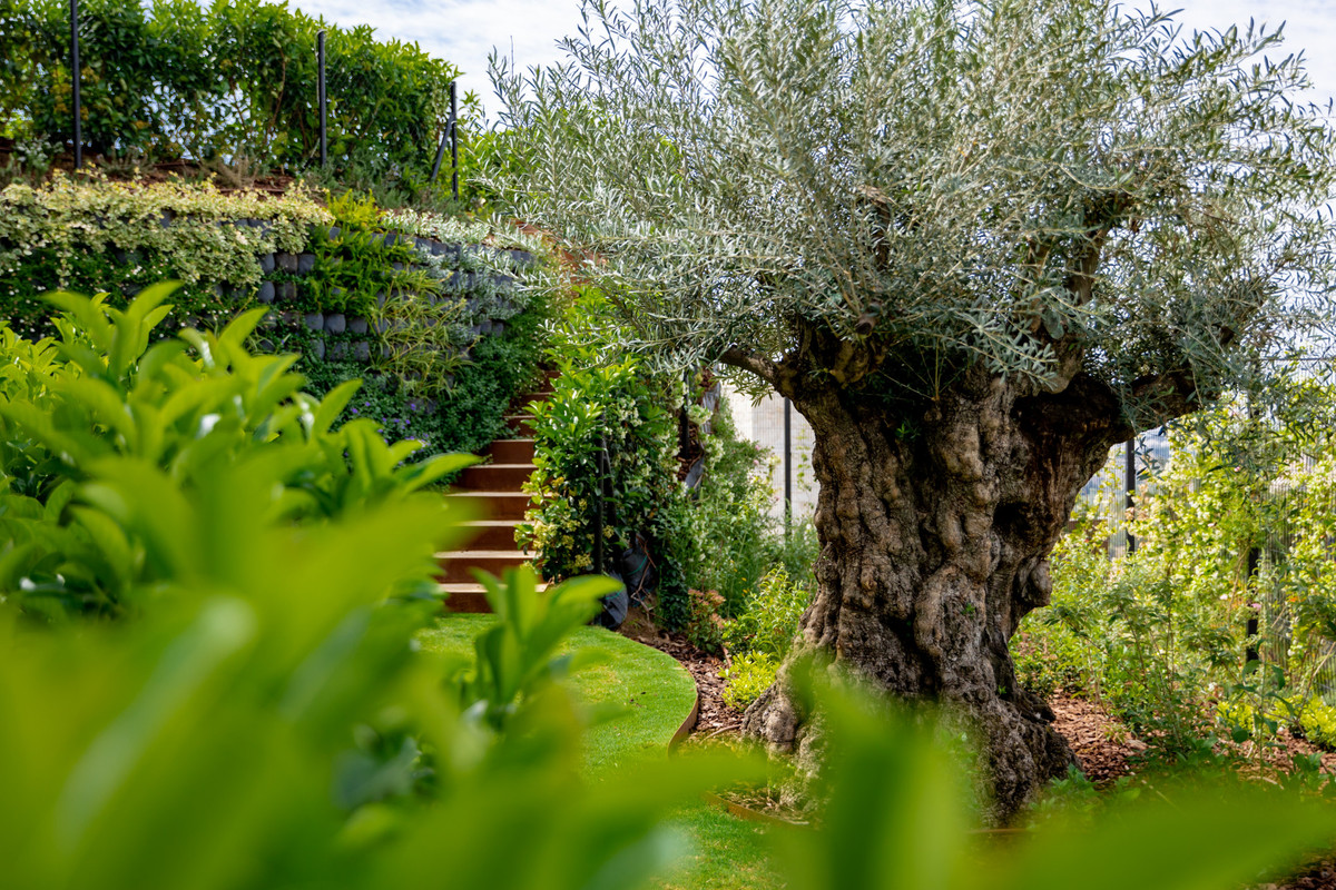 Huis te koop in La Quinta | 8 slaapkamers H5217985