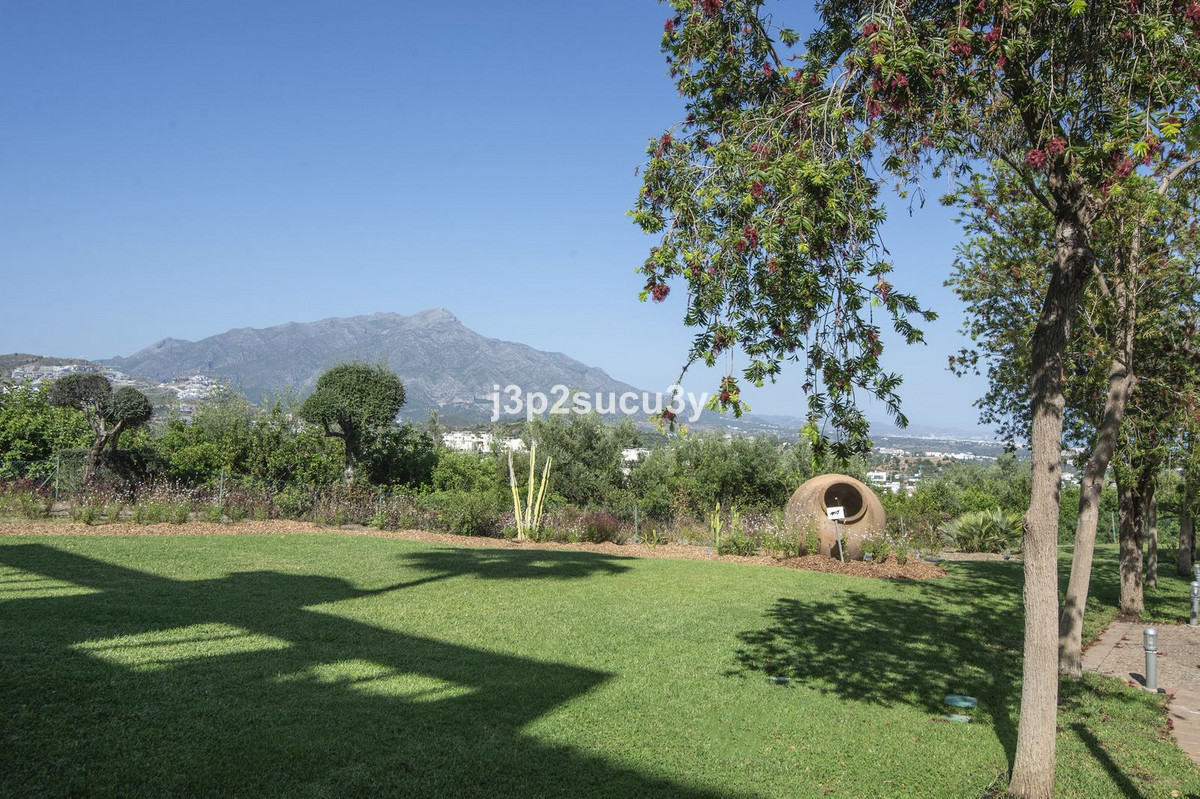 Property main view 35