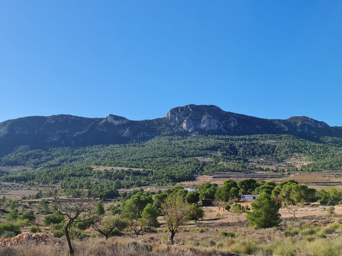 Property main view 10