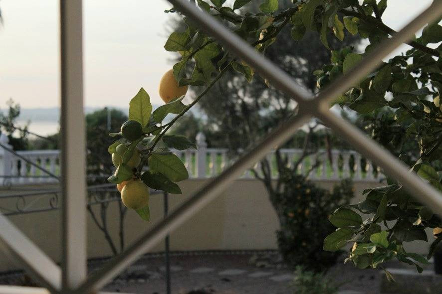 Property main view 40