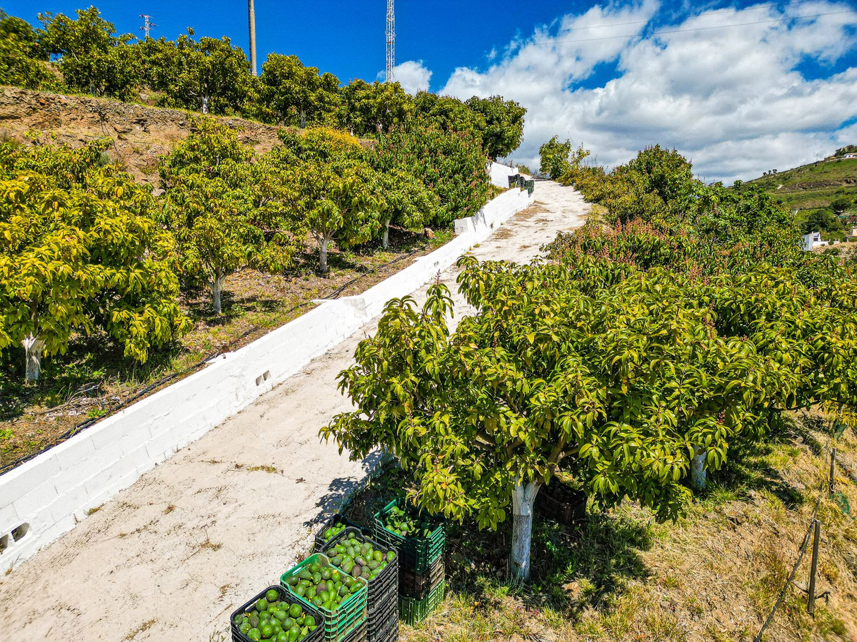 Property main view 45