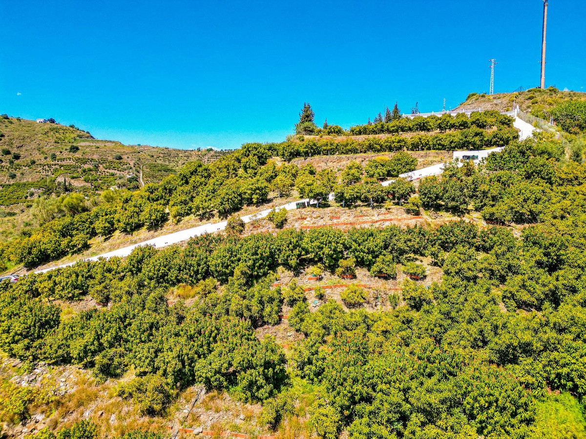 Property main view 50