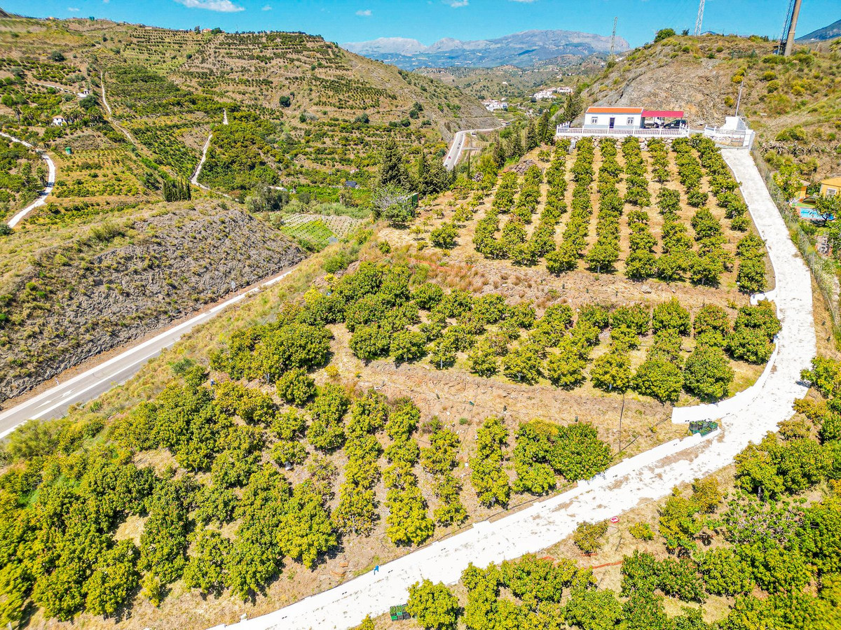 Property main view 52
